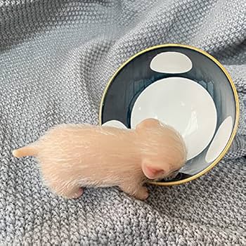 Amazon | LONIAN 5インチ生まれ変わった人形全身シリコーン豚人形 Amazon | LONIAN 5インチ生まれ変わった人形全身シリコーン豚人形